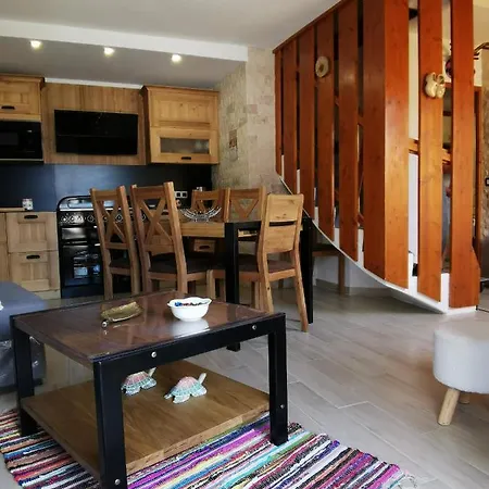 Duplex Les 2 Alpes Avec Acces Direct Aux Pistes