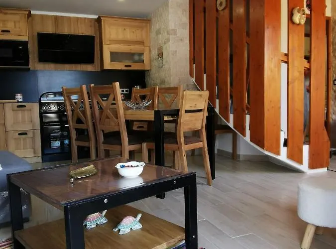 Duplex Les 2 Alpes Avec Acces Direct Aux Pistes