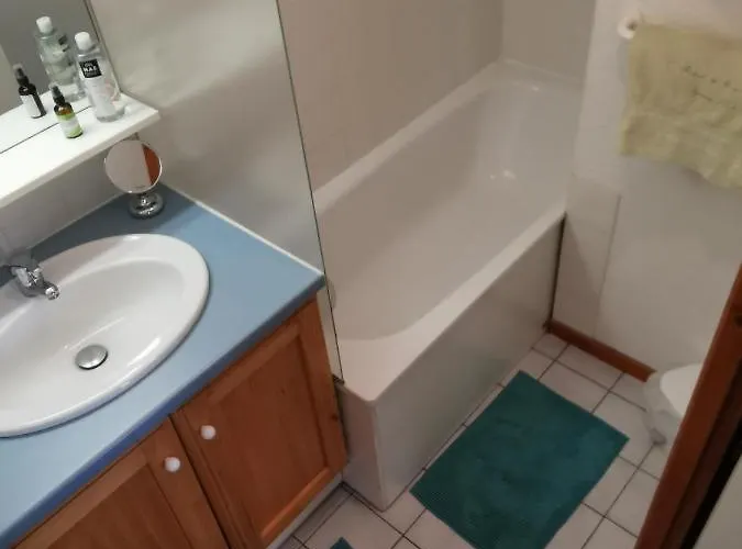 Апартаменты Duplex Les 2 Alpes Avec Acces Direct Aux Pistes Ле дез Альп