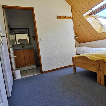 Apartment Duplex Les 2 Alpes Avec Acces Direct Aux Pistes *