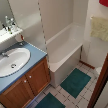 Apartment Duplex Les 2 Alpes Avec Acces Direct Aux Pistes Les Deux Alpes